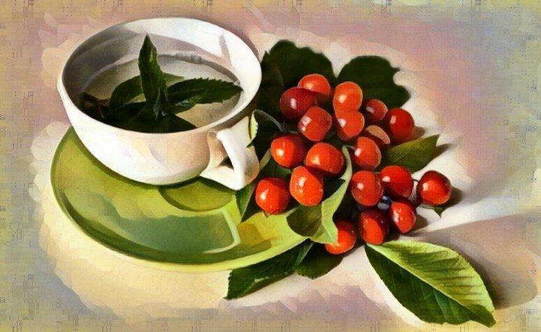 Напиток молодости: ферментированный чай из листьев вишни