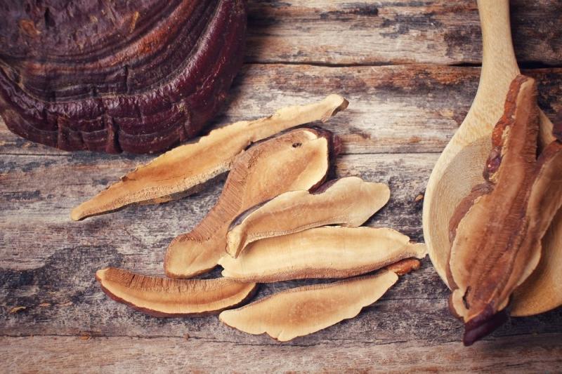 Грибы против вирусов