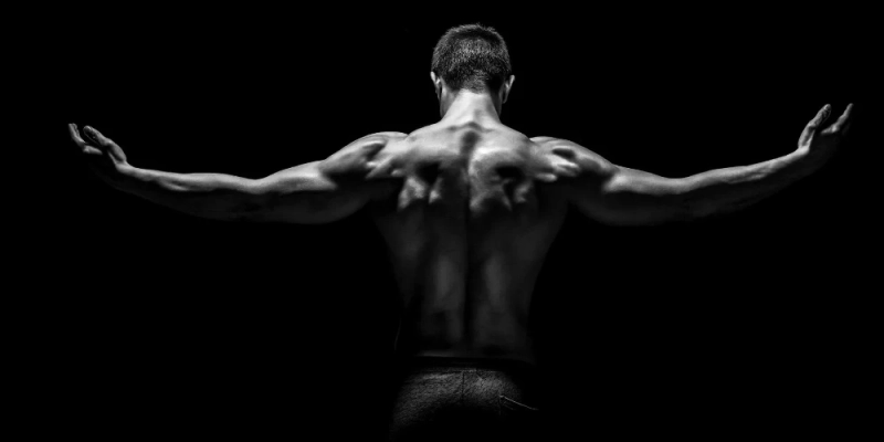 Как накачать шею и трапецию: лучшие упражнения, техника и советы для мощного верха спины